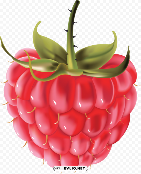 raspberry Free PNG images with alpha transparency clipart png photo - a2eca10a