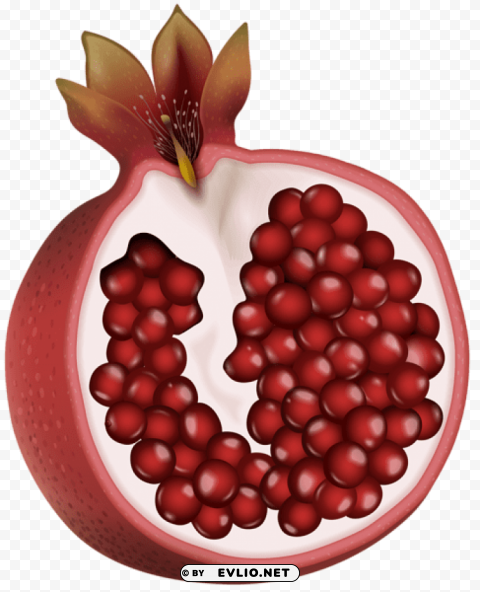 red pomegranate Transparent PNG images set