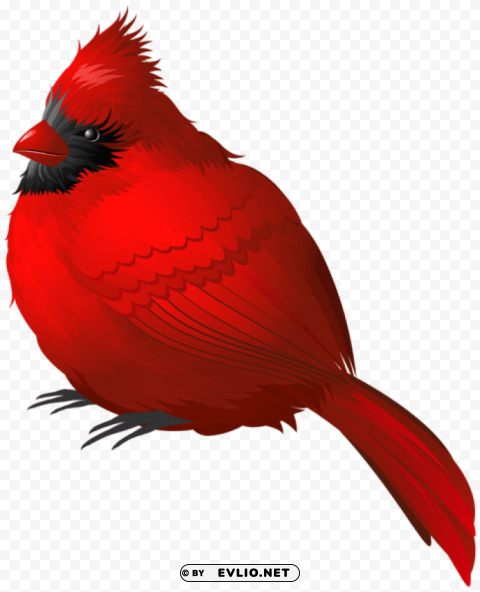 red winter bird Isolated Artwork with Clear Background in PNG