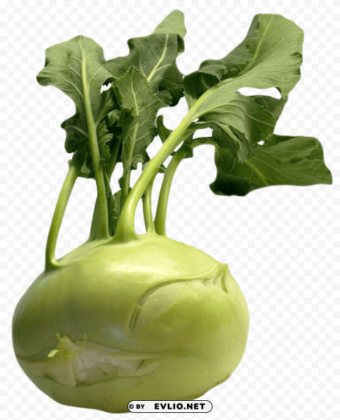 fresh kohlrabi with green leaves PNG Image with Isolated Graphic PNG images with transparent backgrounds - Image ID c30698f9