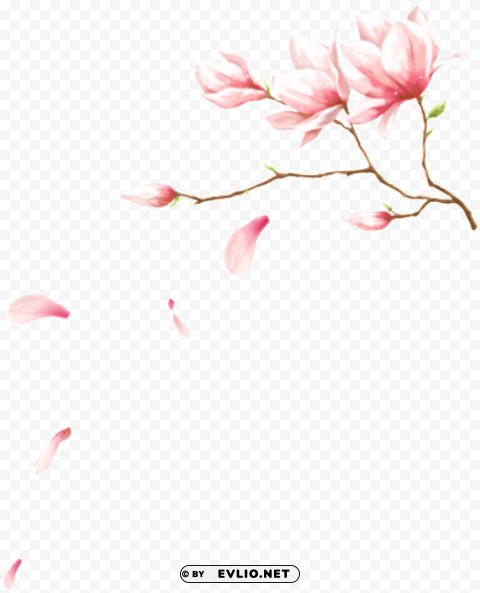 pink No-background PNGs PNG transparent with Clear Background ID 7ac7d852