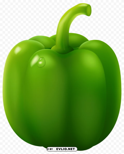 green pepper Free download PNG with alpha channel extensive images