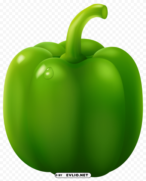 Green Pepper Free Download PNG With Alpha Channel Extensive Images