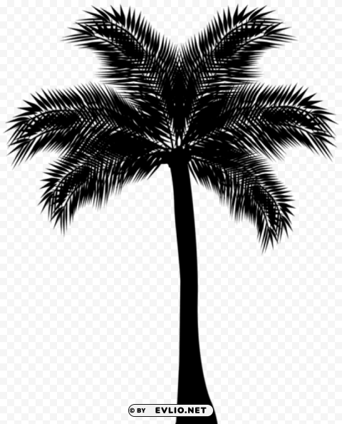 Transparent palm tree silhouette PNG graphics for free PNG Image - ID dbe75e89