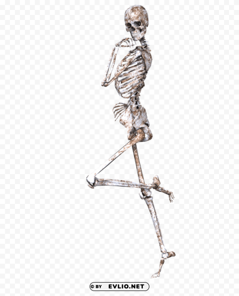 skeleton on one leg Isolated Object on Transparent Background in PNG