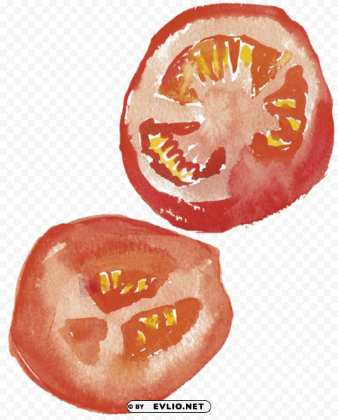 tomato peach drawing watercolor Clear PNG file