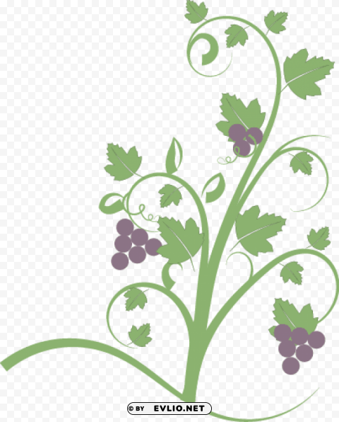 vine with fruit Free PNG images with clear backdrop