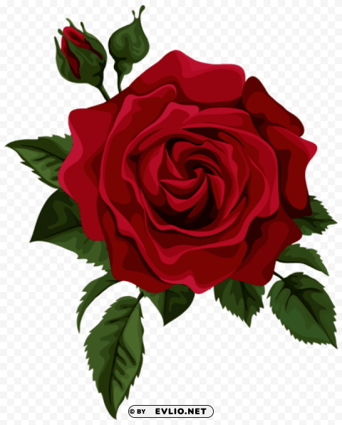 Red Rose With Bud Picture PNG For Social Media