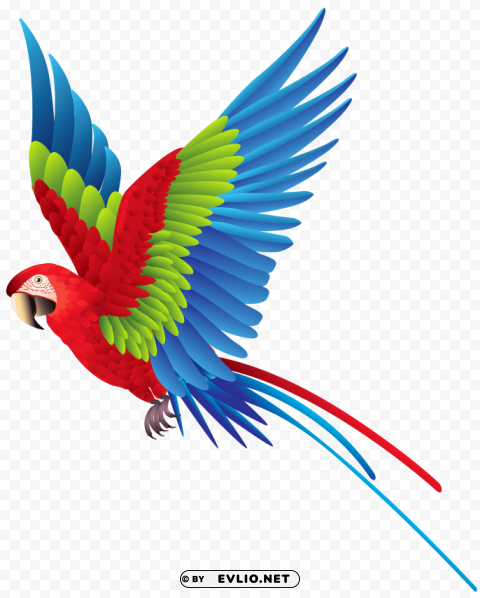 colourful parrot Isolated Artwork in Transparent PNG