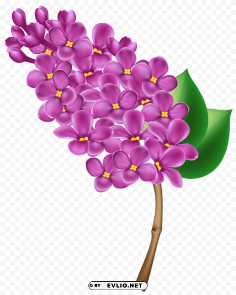 PNG image of lilac transparent PNG Graphic Isolated with Transparency with a clear background - Image ID bc06501d