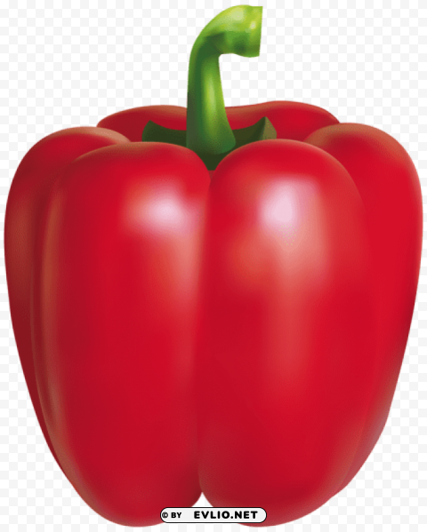 red pepper Transparent PNG Isolated Element with Clarity
