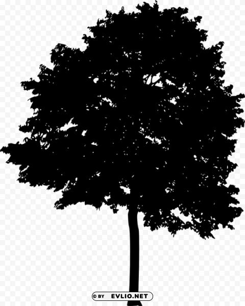 Tree Silhouette Transparent Background PNG Isolated Illustration