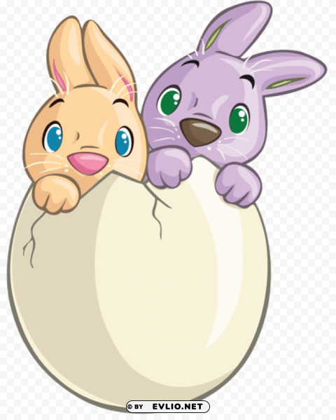 two cute bunnies in egg Transparent PNG Isolated Subject Matter