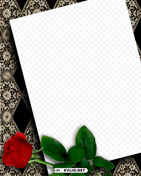 black transparent frame with beautiful red rose Alpha PNGs