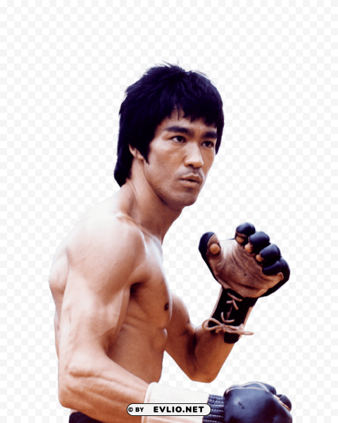 bruce lee PNG Isolated Illustration with Clear Background
