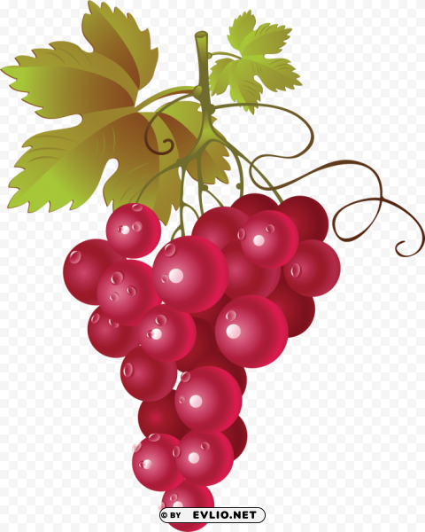 red grapes PNG Isolated Object on Clear Background