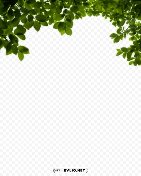 bush Free download PNG with alpha channel