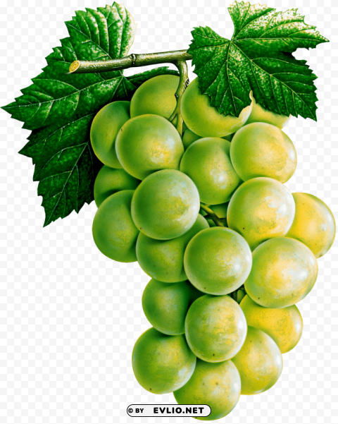 grapes Clean Background Isolated PNG Design