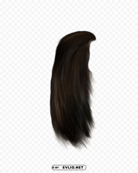 hair HighQuality Transparent PNG Isolated Graphic Element png - Free PNG Images ID f07eb697