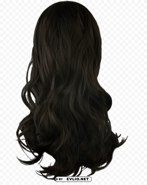 hair pic HighQuality Transparent PNG Object Isolation png - Free PNG Images ID a151d1b9