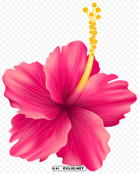 pink exotic flower PNG with no background diverse variety
