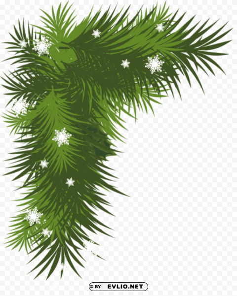 snowy pine branch Isolated Graphic on HighQuality Transparent PNG