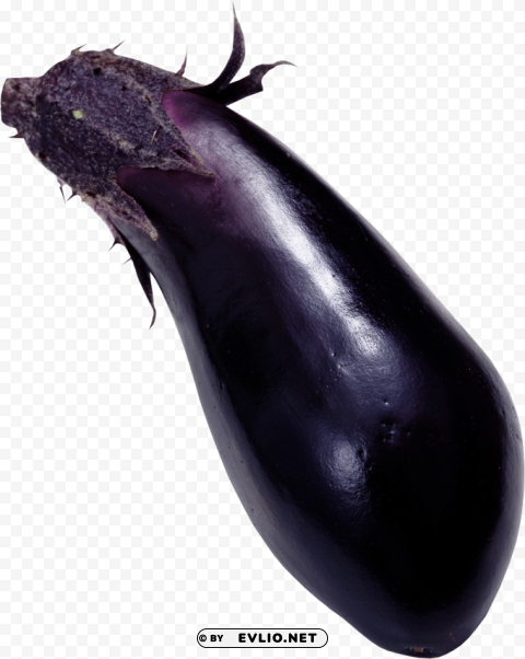 eggplant Transparent PNG images set