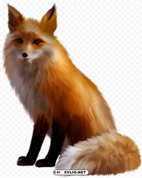 Fox Isolated Element In Transparent PNG