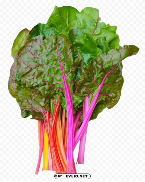 rainbow swiss chard Free transparent background PNG