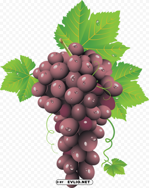 grapes Alpha PNGs clipart png photo - 794bfb93