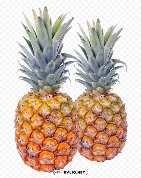 two pineapple Isolated Icon with Clear Background PNG
