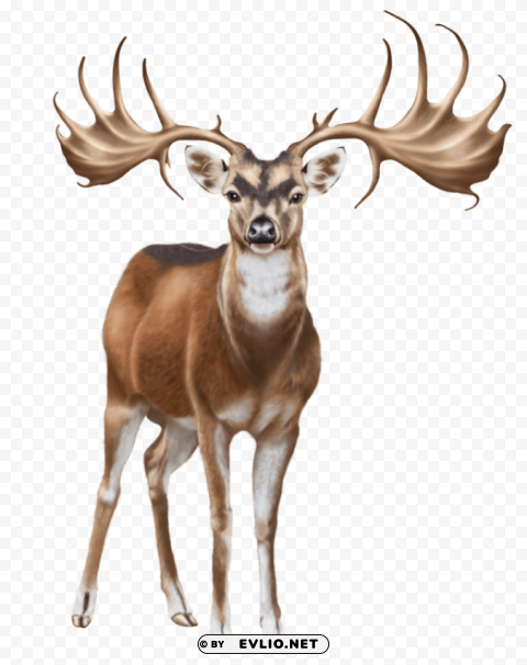 deer PNG high resolution free