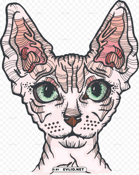 sphynx cat coloring page PNG transparent artwork