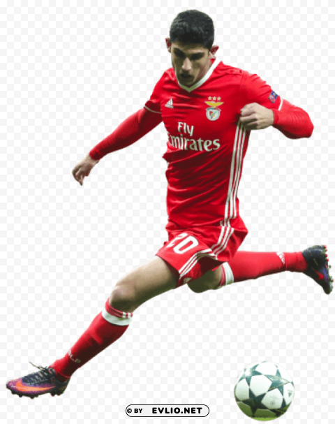 Download goncalo guedes Isolated Illustration on Transparent PNG png images background ID 1cb7421c