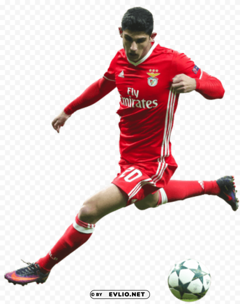 goncalo guedes Isolated Illustration on Transparent PNG