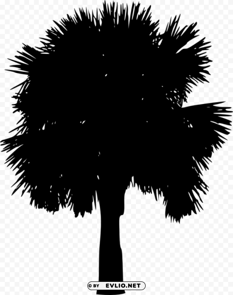 Palm Tree Silhouette Clear Background PNG Isolated Design