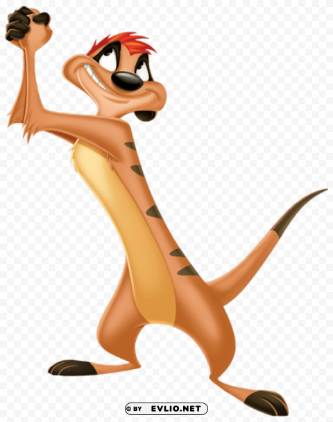 Timon Transparent PNG Image With Isolated Subject
