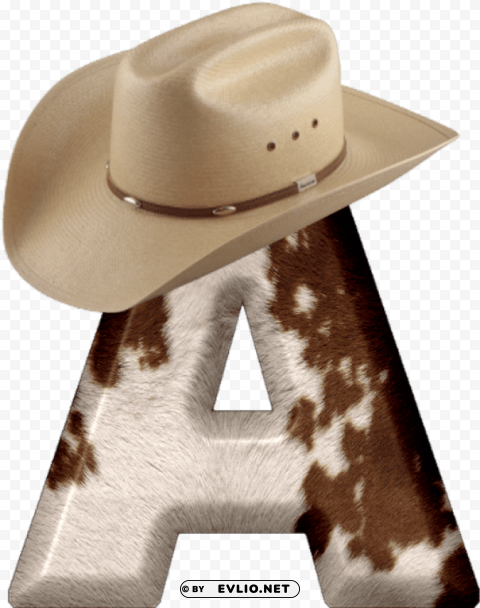 cowboy PNG with no background for free
