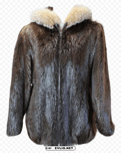 fur coat burned Transparent PNG images free download