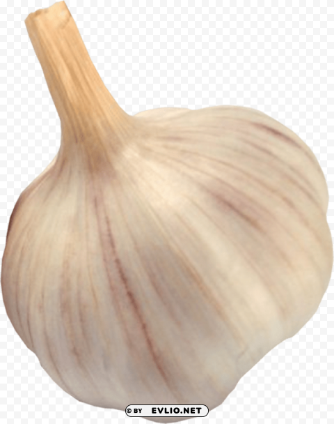 garlic Transparent PNG artworks for creativity PNG images with transparent backgrounds - Image ID 111e3d5b