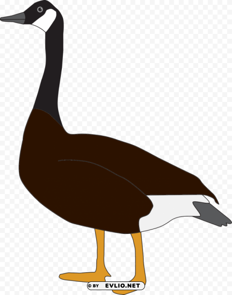 goose free pictures Clear background PNG elements