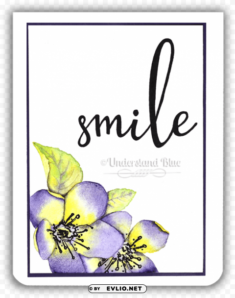 Honey Bee Stamps Smile Stamps Isolated Object On Clear Background PNG