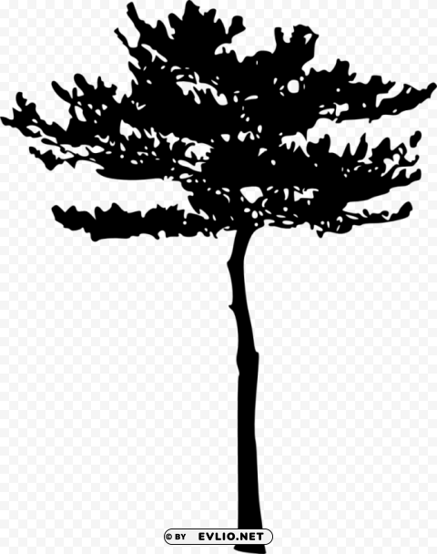 tree silhouette HighQuality Transparent PNG Element