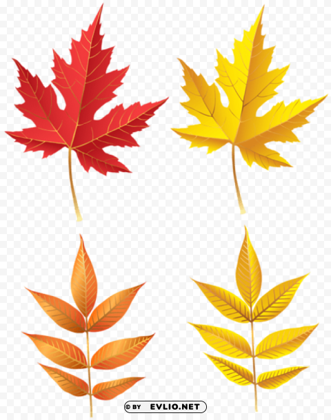 autumn leaves set PNG images for advertising