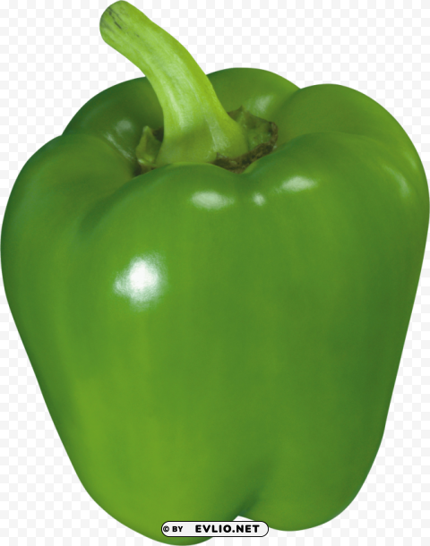 green pepper PNG graphics with alpha channel pack