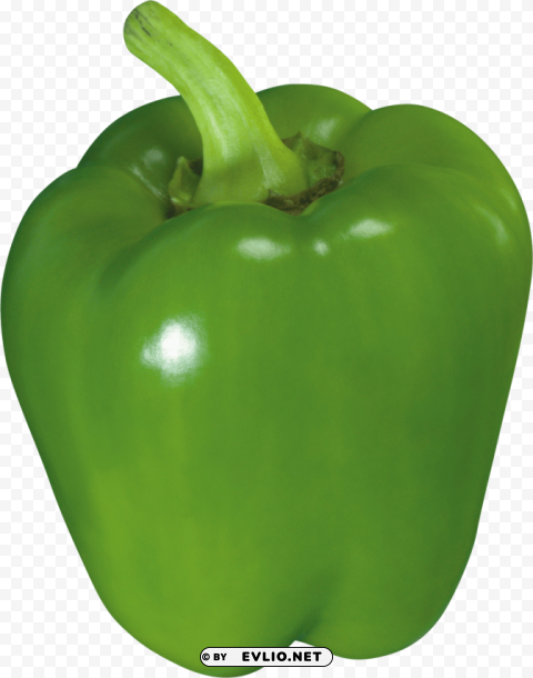 Green Pepper PNG Graphics With Alpha Channel Pack