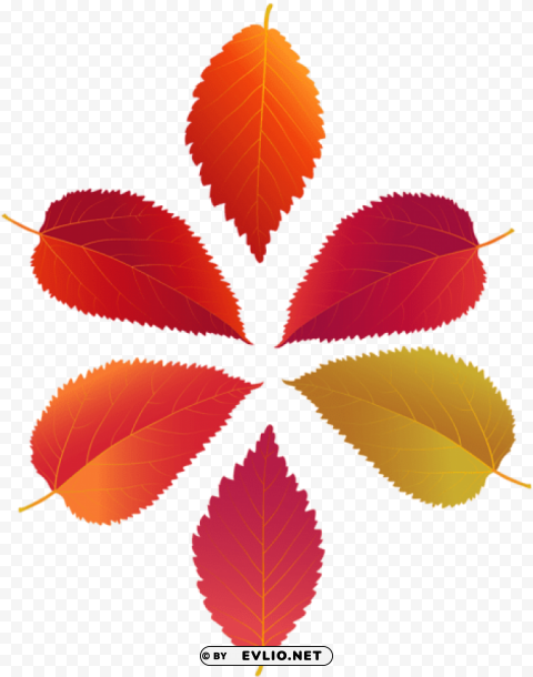 of fall leaves PNG images with alpha transparency diverse set
