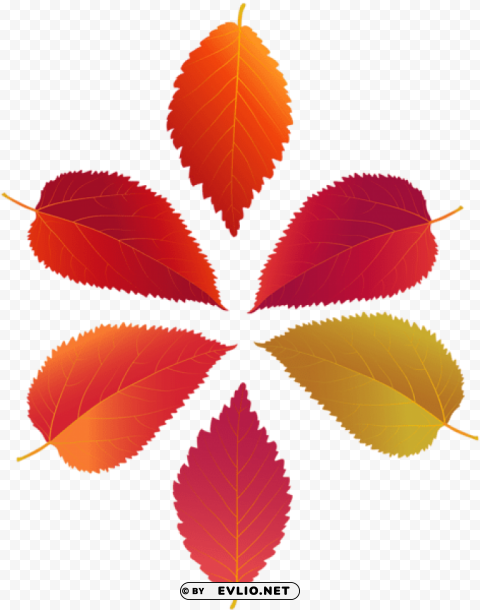  Of Fall Leaves PNG Images With Alpha Transparency Diverse Set