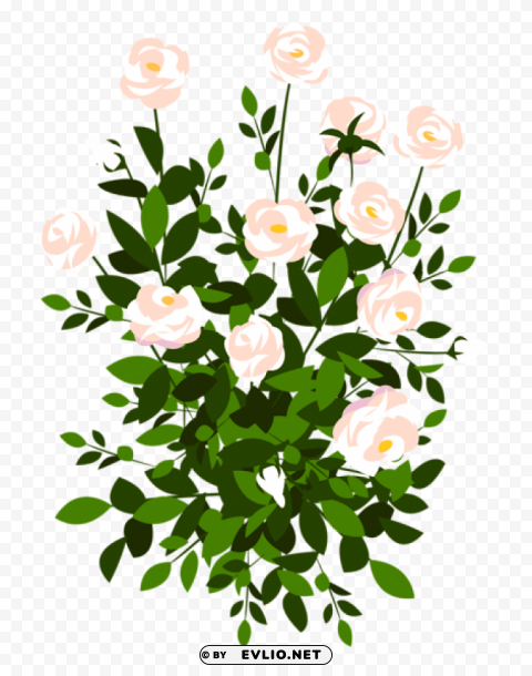 whte rose bushpicture PNG files with no background wide assortment