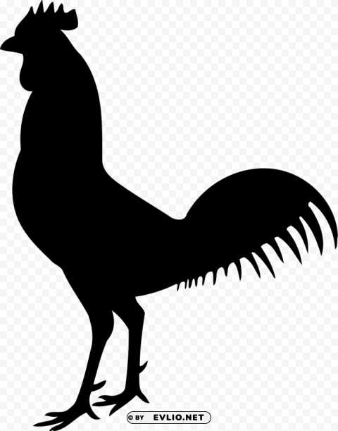 cock Free PNG download